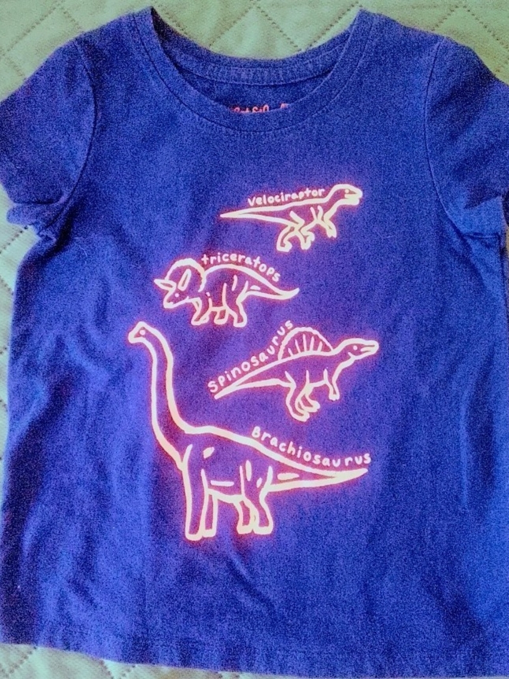 Cat & Jack Purple Tee with Pink Neon Dinosaur Design